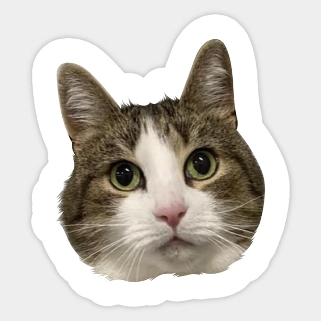 Funny cute cats sticker Sticker by Ginstore